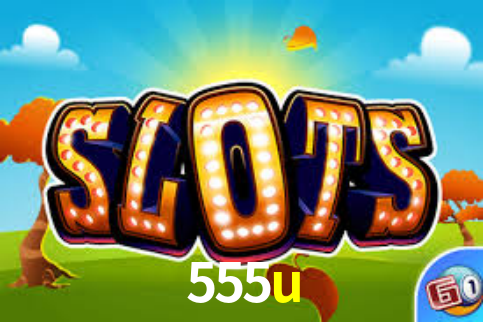 Premium Interface 555u